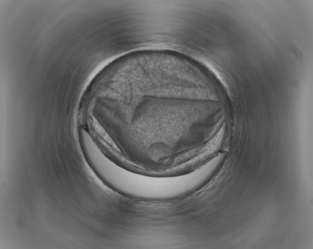 X0000111361468200908071143