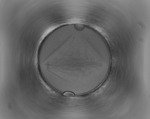 X0000111361469200908071143