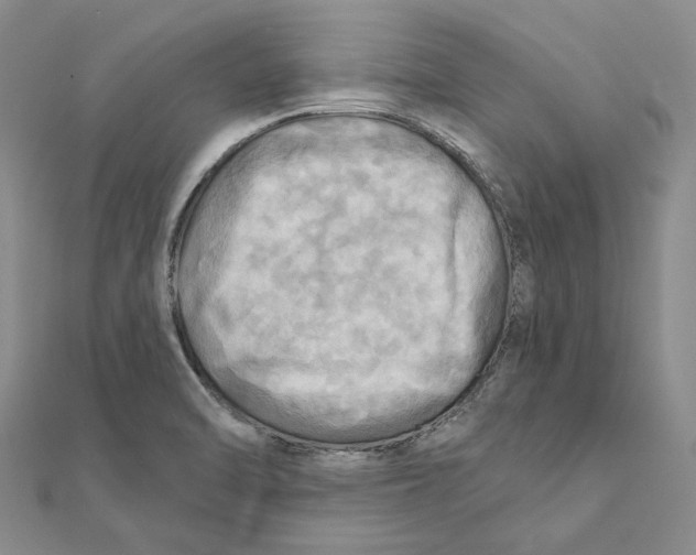 X0000111361470200908071143