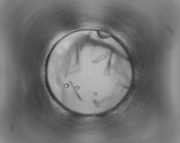 X0000111361471200908071143