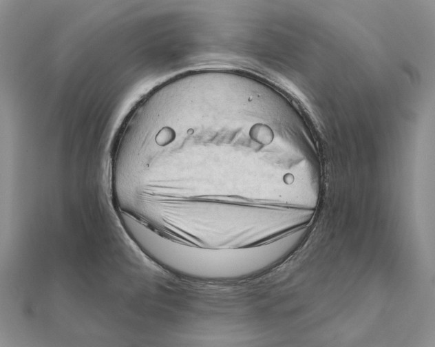 X0000111361472200908071143