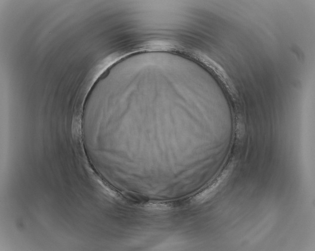 X0000111361473200908071143