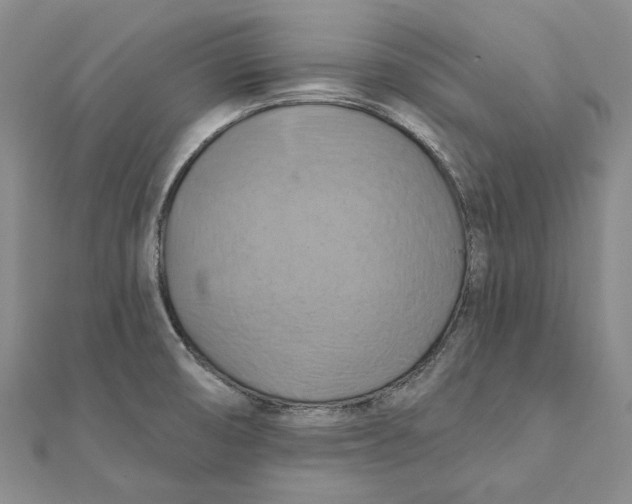 X0000111361474200908071143