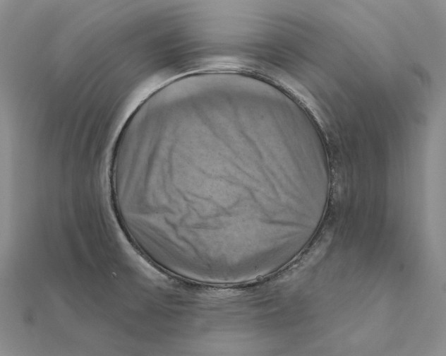 X0000111361475200908071143