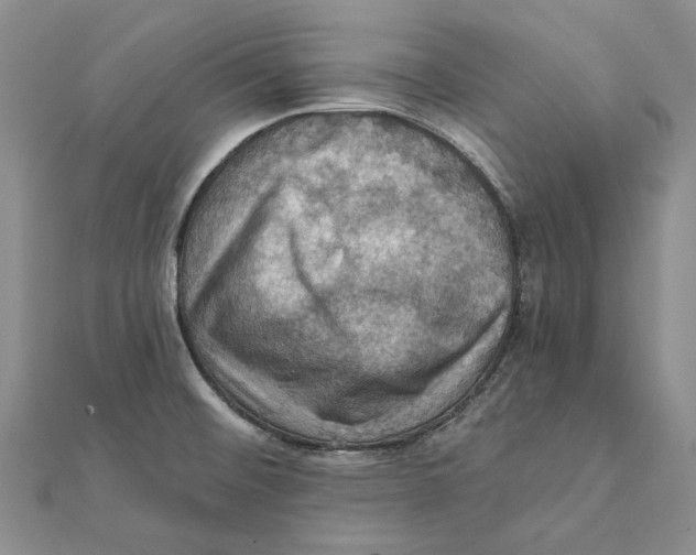 X0000111361476200908071143