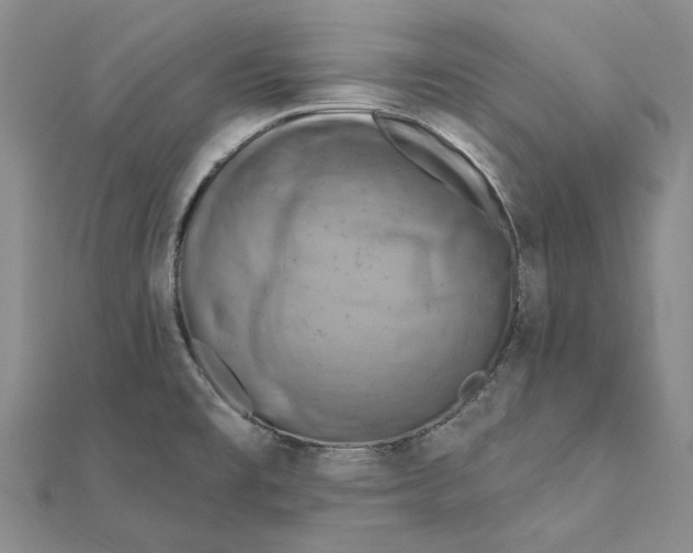 X0000111361477200908071143