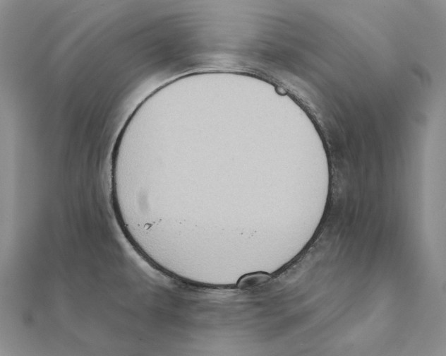 X0000111361479200908071143