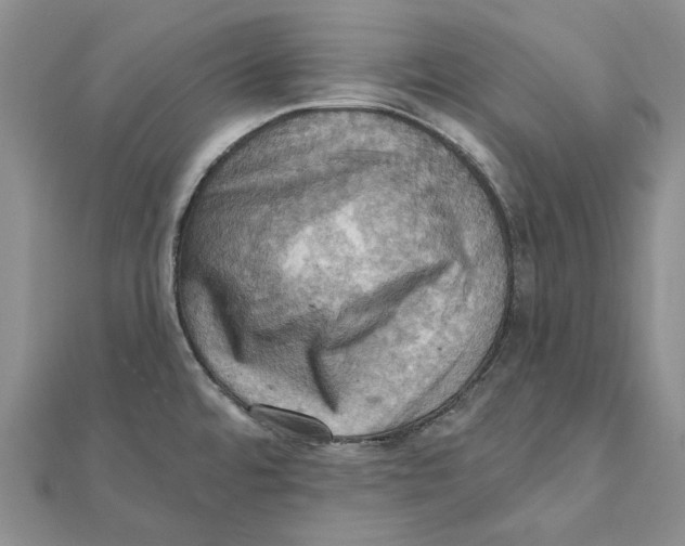 X0000111361480200908071143