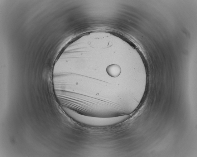 X0000111361481200908071143