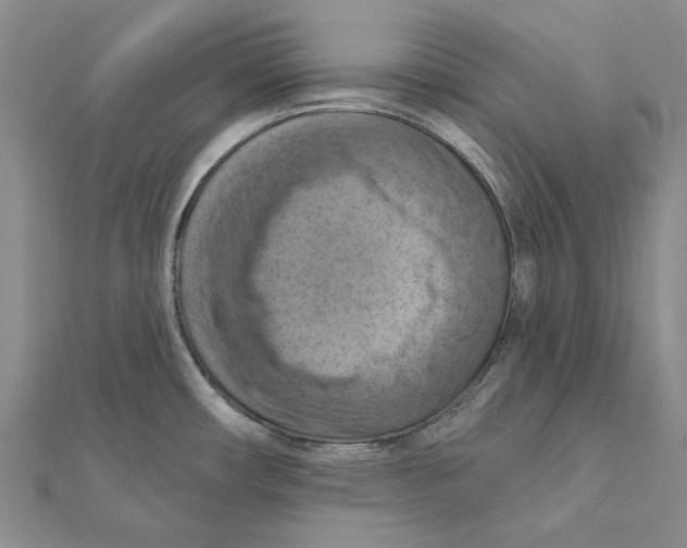 X0000111361482200908071143