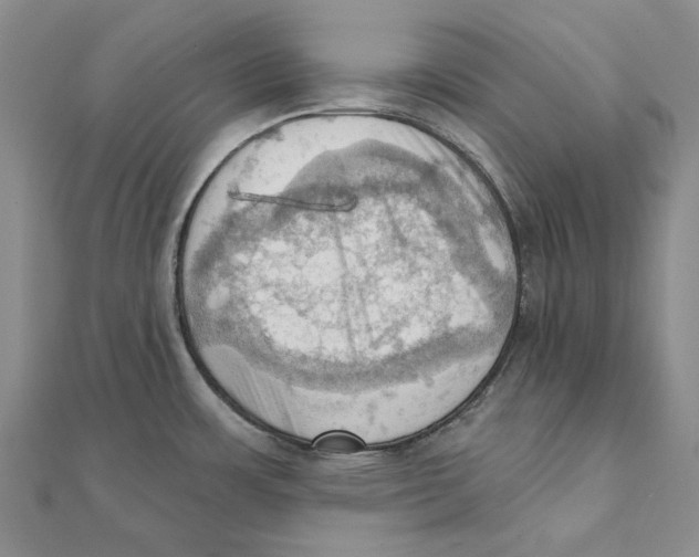 X0000111361483200908071143