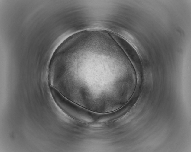 X0000111361484200908071143