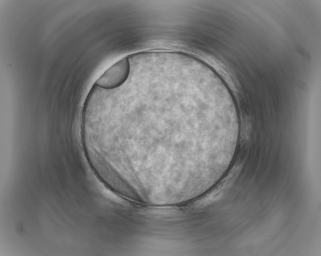 X0000111361486200908071143