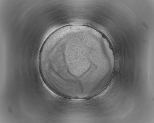 X0000111361487200908071143