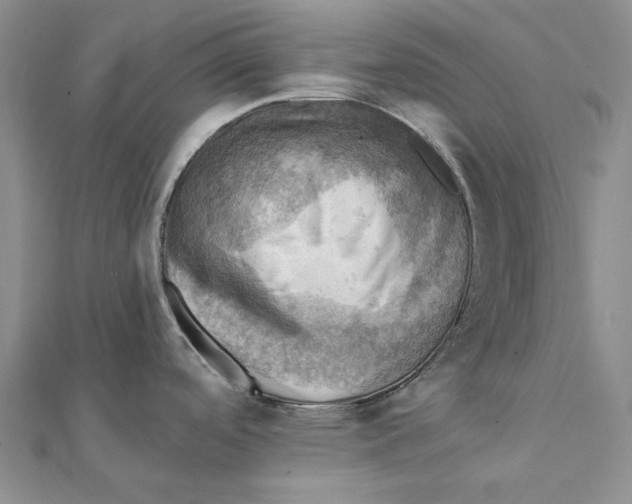 X0000111361488200908071143