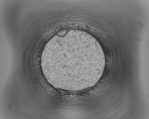 X0000111361489200908071142