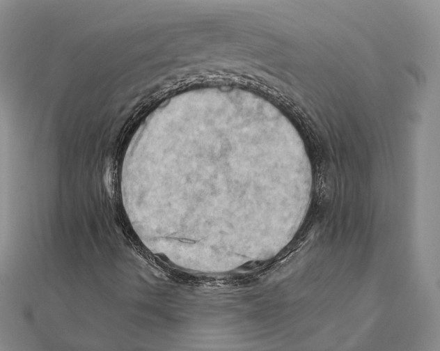 X0000111361490200908071142