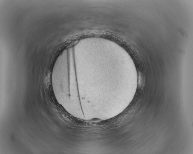 X0000111361492200908071142