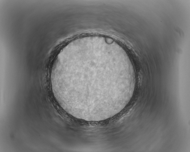 X0000111361494200908071142