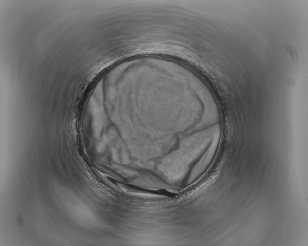 X0000111361497200908071142