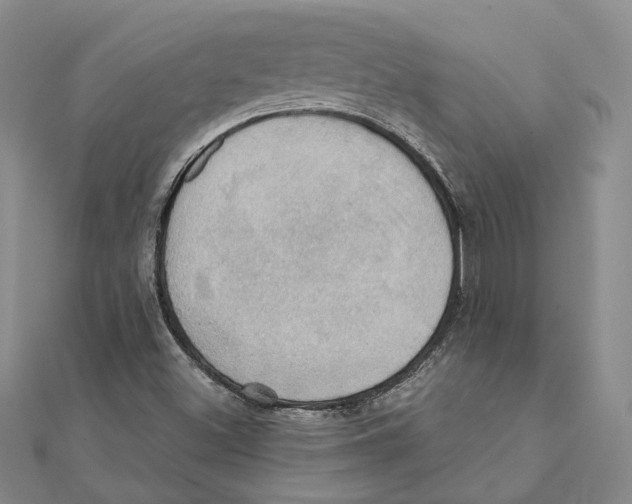 X0000111361500200908071142