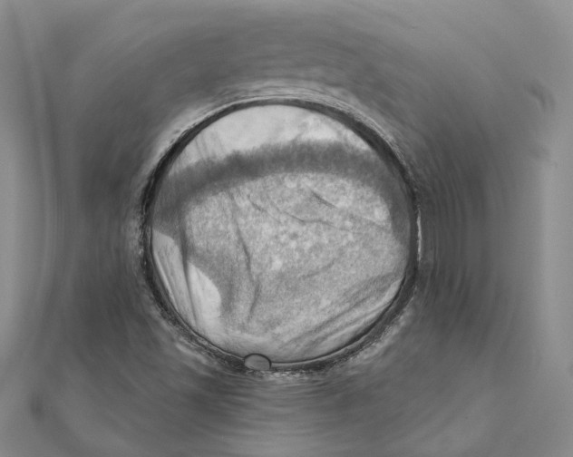 X0000111361501200908071142