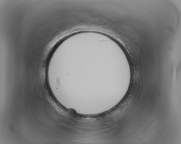 X0000111361503200908071142