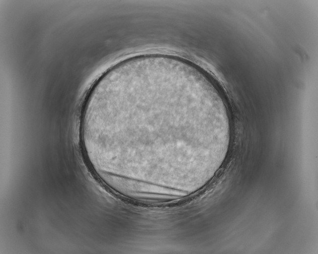 X0000111361504200908071142