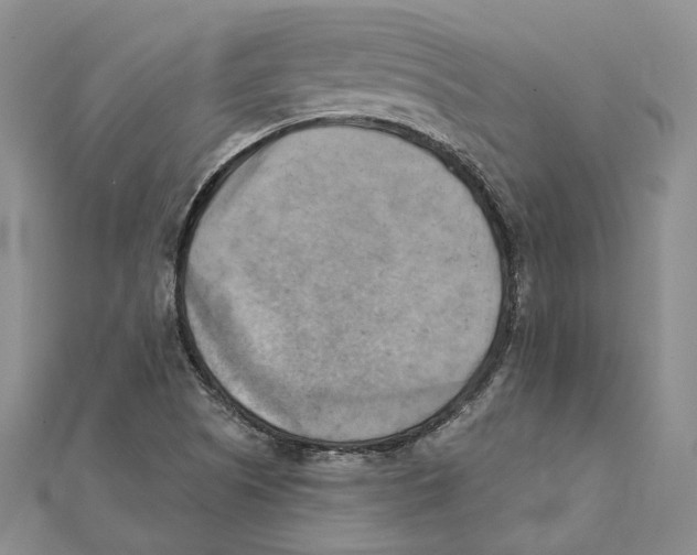 X0000111361505200908071142