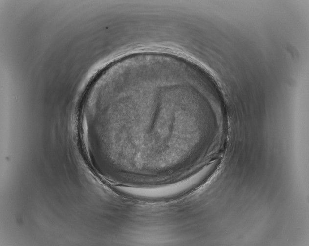 X0000111361506200908071142