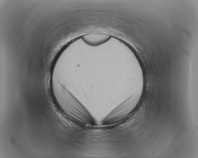 X0000111361507200908071142