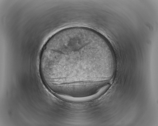 X0000111361508200908071142