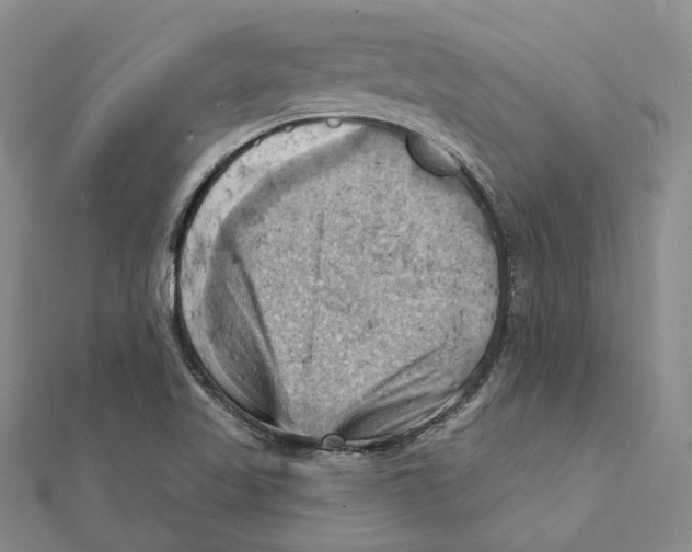 X0000111361509200908071143