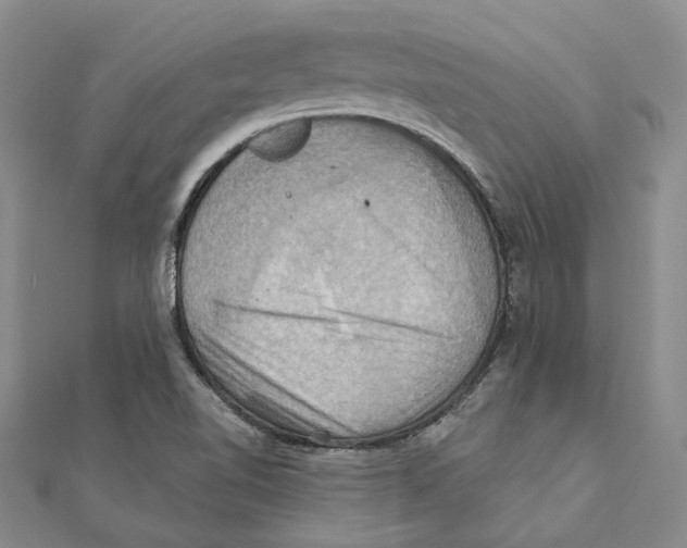 X0000111361510200908071143