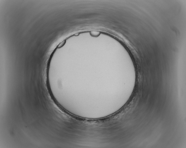 X0000111361512200908071143