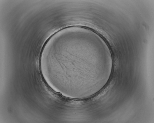 X0000111361513200908071143