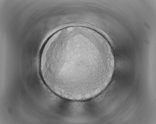 X0000111361514200908071143