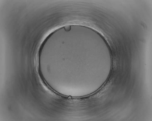 X0000111361515200908071143