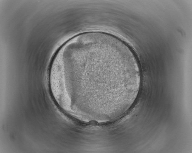 X0000111361517200908071143