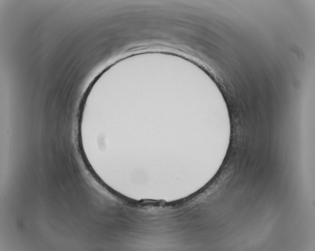 X0000111361518200908071143