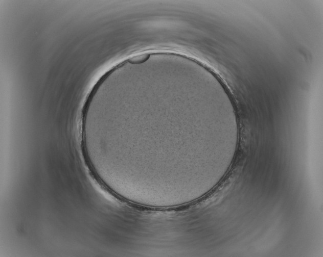 X0000111361519200908071143