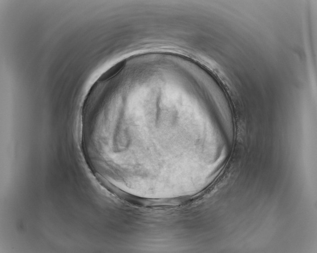 X0000111361520200908071143