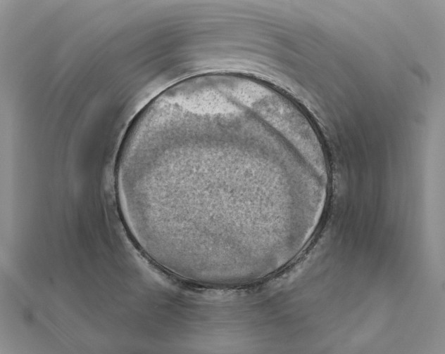 X0000111361521200908071143