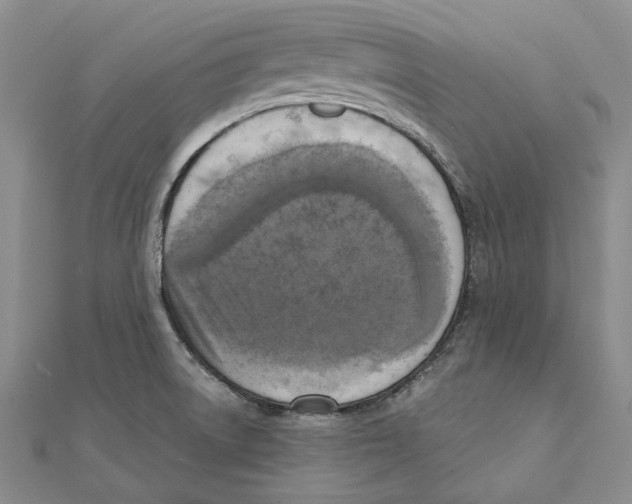 X0000111361522200908071143