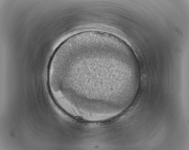 X0000111361523200908071143