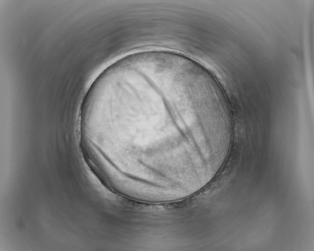 X0000111361524200908071143