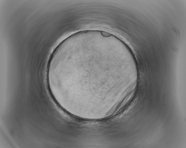 X0000111361525200908071143