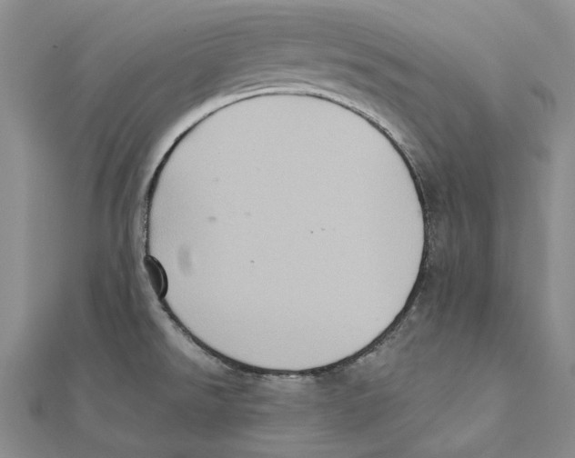 X0000111361526200908071143