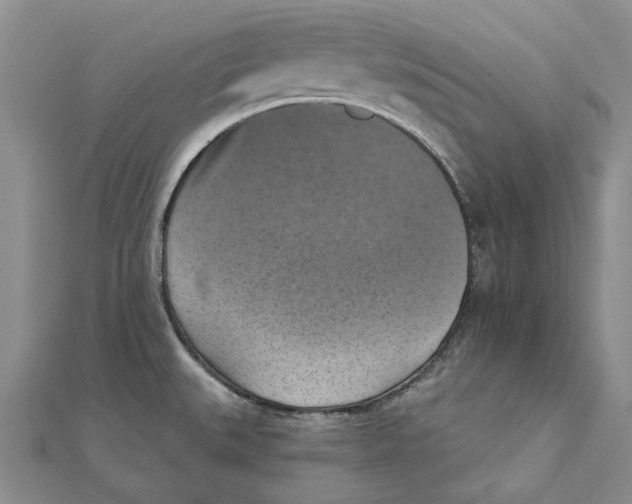 X0000111361527200908071143