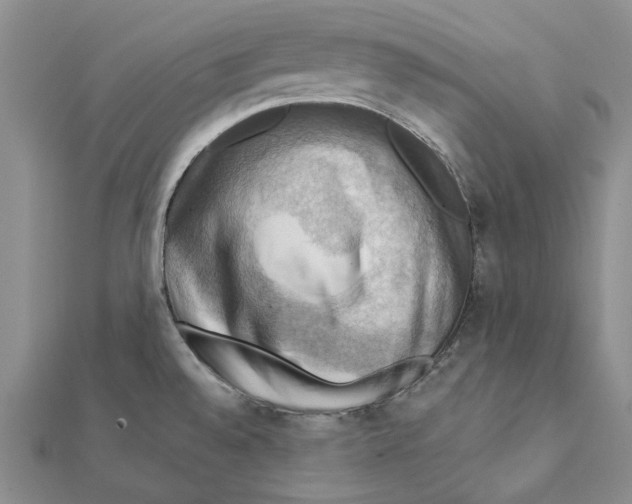 X0000111361528200908071143